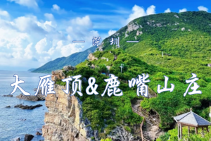 10.12【深圳十峰】大雁顶－鹿嘴山庄 | 《美人鱼》同款海岸线召唤你！