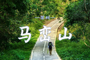 11.25 马峦山轻徒步+风味农家菜（特色走地鸡） | 穿越绿色时空，接触自然生态，沉浸快乐之间，品农家美味