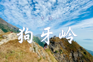 11.02 （香港）狗牙岭—凤凰山穿越｜挑战香港第一险峰 | 让我们一起踏上这场心跳加速的香港山野探险之旅！