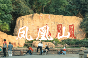 2.01  凤凰山—亚婆髻穿越 | 穿越"小武功山"深圳经典路线  俯瞰深圳最美山脊线  会员免费冲！