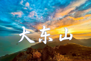 11.20（周四） 香港大东山穿越｜金色芒草季，邂逅“陈奕迅山”的绝美日落