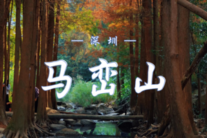 2.23 马年行大运，登山定乾坤！马年就要爬马峦山 | 踏青山、展豪情， 登顶揽胜，意气风发，万事皆顺意！