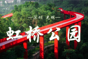 1.24  周末轻徒步召集令 | 漫步光明绿道，打卡网红三桥，品味地道东北菜！