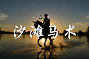 3.10  沉浸式沙滩马术体验+海景下午茶 | 双月湾的诗情画意&马背上的酷飒风姿