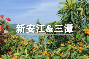 （即将成行/宜+松）5月30-31日：早鸟价320元起！送季卡！徒步歙县最后的秘境，摘三潭枇杷，船游新安江千岛湖品鱼头宴