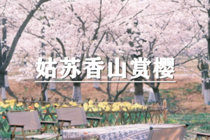 （即将成行/宜+松）4月5日：特惠价120元！多人优惠！轻徒~姑苏韵·香山梅岭，限定浪漫，春天上春山，去香山看樱花烂漫