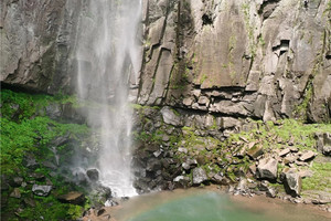 （世+东）4月12日：特价99元！漫山春色东西岙，徒徐凫岩观十里飞瀑，漫山彩林访三十六湾村，望十里悬崖