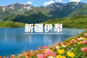 （已成行/多团期）5月30-6月5日：超多福利！童话新疆~独伊无二，独库公路，伊犁7日精品游