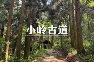 （即将成行/沈紫东）6月6日：早鸟价110元起！安吉半岭小岭古道穿越，和万物生灵一起感受山野气息！