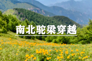 （缴费中/上海领队）6月19-21日：超多福利！季节限定~南北驼梁徒步穿越，赴一场金莲花盛宴，行走中太行，遥望大五台