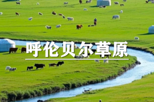（已成行/多团期）6月6-11日：超多福利！步丈山河~呼伦贝尔草原42KM徒步