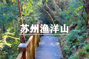 （宜+松）5月31日：集赞半价！徒步苏州渔洋山森林步道，春日寻“福”蝙蝠线