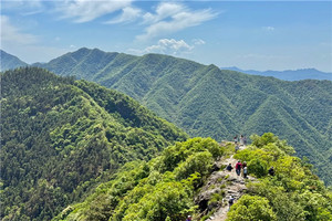 （宜+松/端午）6月19-20日： 早鸟价280元起！送季卡！徒步建德版熊野古道-绿荷塘古道，打卡严州古城美食
