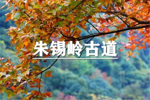 （宜+松）11月14-15日：  会员价240元起！朱锡岭古道徒步，赏十里红枫，风舞银杏遍地黄，磐安车慈岭