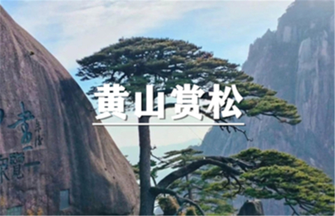 （宜+松）11月13-15日：会员价280起！ 18周岁及以下免门票！黄山徒步赏奇石劲松，朝圣道教胜地齐云山