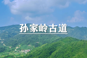 （即将成行/世+东）4月5日：特价99元！徒步孙家岭古道，登顶雄鹅峰，寻觅浙江高山草甸