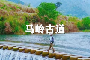 （已满员/世+东）4月4日：特价99元！寻梦桐庐~徒步最美森林-马岭古道