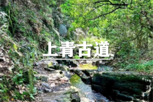 （即将成行/宜+松）4月5日：特惠价120元！多人优惠！徒步上青古道全程版，真假兰若寺 古道寻芳踪