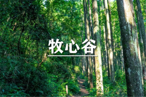 （宜+松）10月31-11月1日： 会员价240元起！徒步牧心谷，浙江”版哀牢山“，闯入童话森林，寻梦马岭古道