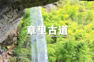（即将成行/青春团）5月30日：早鸟价110元起！探秘安吉黄金山章里古道环线，登巅观云海