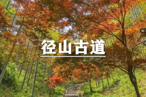 （宜+松）4月5日：特惠价120元！多人优惠！登高·祈福，徒步千年径山古道，竹林古道蜿蜒，寺庙钟声悠扬