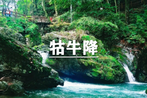 （宜+松/端午）6月18-21日：早鸟价380元起！送季卡！徒步牯牛降白石岭，游“天然氧吧”仙寓山，探蓬莱仙洞