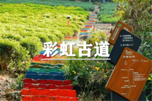 （宜+松）5月31日：特价99元！逛吃千年古镇，相约无锡马山半岛，徒步彩虹古道
