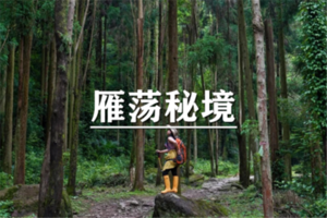（宜+松/端午）6月19-21日： 早鸟价360元起！送季卡！ 轻徒·雁荡山秘境~穿越筋竹涧，赏奇景