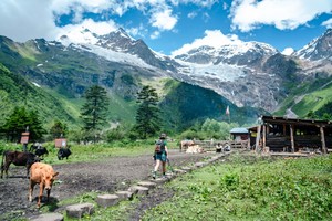 【遇见雨崩5日】| 2-8人精品商务小团——看飞来寺日照金山+冰湖神瀑徒步体验+尼龙峡谷户外纯玩旅行