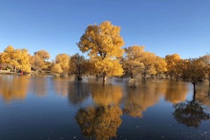 【行摄·额济纳6日】| 2-12人旅拍团丨兰州集合银川散团，1-4人司机兼航拍师，满5人安排摄影师全程跟拍，无自然单房差