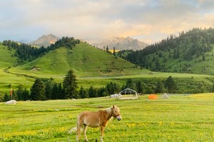 【穿越格聂5日】| 2-8人轻奢小团——去邂逅时光里的格聂，穿越格聂南线+格聂之眼+格底拉姆+措普沟+姑弄村5日纯玩