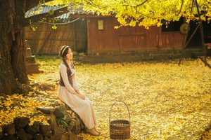 【腾冲银杏6日】| 2-7人小团｜云南秋季限定，大理+腾冲银杏村+和顺古镇泡+热海+北海湿地+温泉酒店，一次玩遍滇西精华