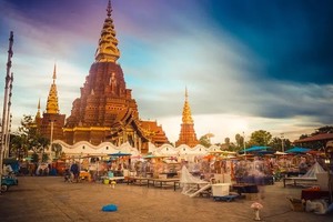 【雨林版纳5日】｜全网独家升级路线，版纳&普洱两地解散+雨林秘境+曼听公园+野象谷+傣族园+中科院植物园