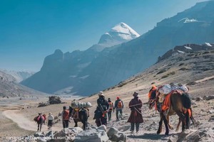 【阿里转山8日】|2-4人精品越野小团•冈仁波齐转山徒步+玛旁雍措+拉昂措+佩枯措+冲巴雍措+珠峰8日游