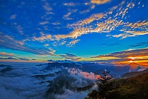 【秋徒神农架4日】| 神农架秋日秘境，坠入北纬31°的斑斓童话，打卡大九湖+神农顶云瀑落日+天燕彩虹桥+高标4钻酒店