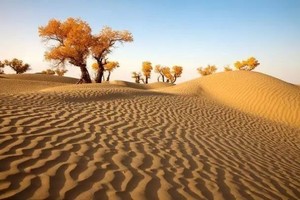 【72km 南疆胡杨】| 精品纯玩，无自然单房差，喀什-莎车-和田-塔里木-139 秘境-温宿大峡谷7日之旅