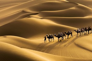 【72km东疆8日】| 精品纯玩，无自然单房差，徒行丝路北道、越野大海道八日轻徒旅行