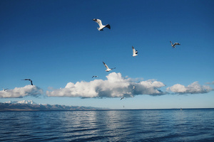 【全景西藏6日】| 2-8人精品小团，商务团升级航空座椅——|林芝山南+南迦巴瓦峰+羊湖+珠峰大本营+藏北草原+纳木错