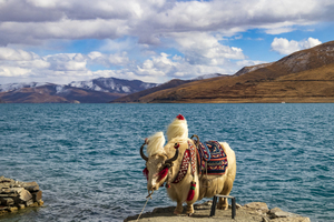 【游氧珠峰5日】| 2-8人商务小团，特别升级航空座椅，西藏羊湖+纳木错/圣象天门+珠峰大本营纯玩行摄之旅