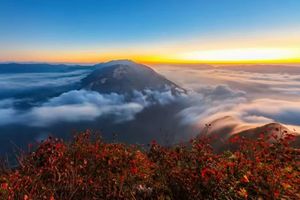 【秋徒三峡5日】| 经典三峡赏红叶环线徒步，看除却巫山不是云，赏朝辞白帝彩云间，高标4钻酒店无自然单房差