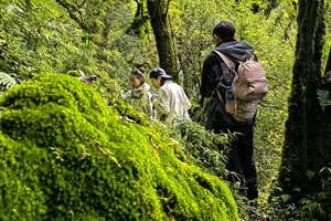 【哀牢山穿越5日】| 昆明+秘境哀牢山+南恩瀑布+建水古城+元阳梯田户外纯玩，赠送纪念奖牌，全程专业领队带队