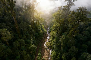 【哀牢山6日】| 2-8人精品小团《云南虫谷》哀牢山-元阳梯田-罗平油菜花-弥勒东风韵-建水古城-抚仙湖深度游
