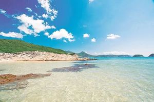 【深港徒步4日】| 香港麦理浩径第二段徒步露营、打卡网红破边洲、穿越深圳最美海岸线东西涌、游览塔门岛徒步活动