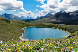 【他念他翁8日】| 藏东南最美徒步路线，邂逅雪山、花海、星空！在这里熙熙攘攘之前，  来找寻他念他翁之下的一份静谧