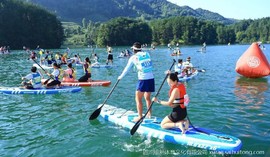 25c69094503741178b90347aed211147