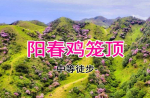特价168起！5.2晚-5.3徒步阳春鸡笼顶看日出，打卡粤西最美高山大草原，赏数千亩高山杜鹃花