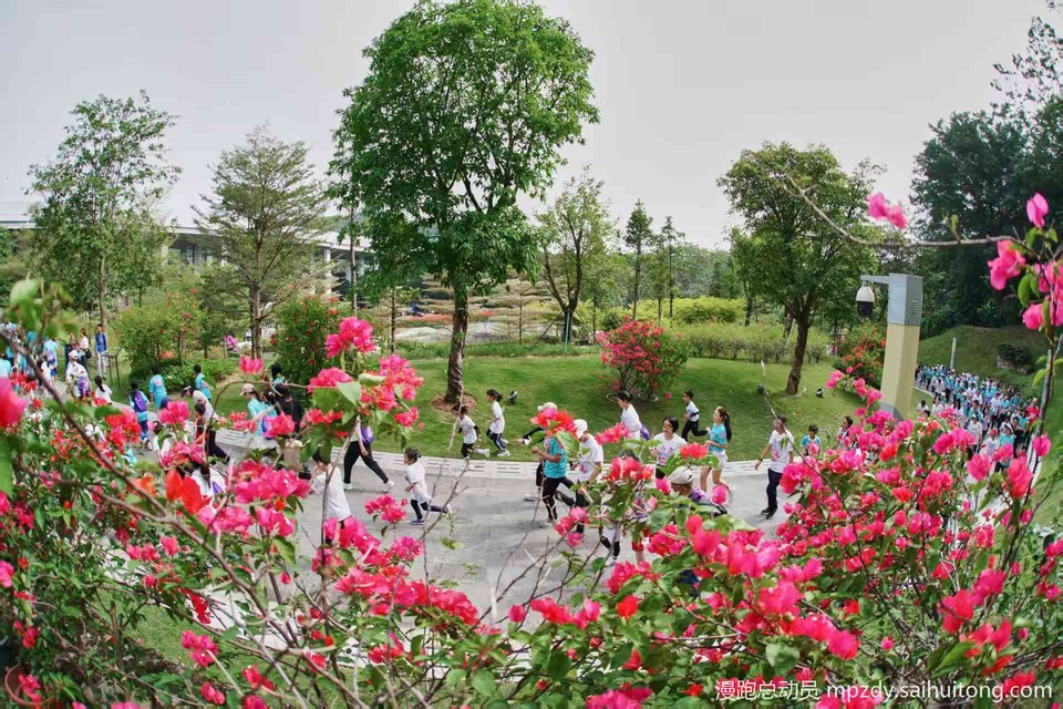 微信图片_20251115191345_105_30