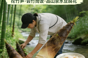 2026年03月29日，春日限定 || 体验挖竹笋+吃农家竹筒饭++品山泉水豆腐花+从化星溪线徒步