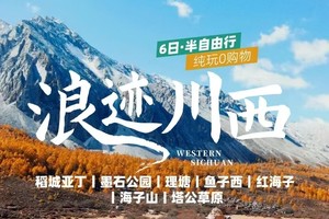 【大美稻亚·6日】7人即升级豪奢保姆车