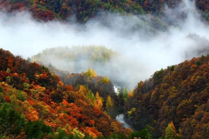 2025年10月23日-26日，徒步华夏寻秋特辑 · 神农架站，神农架的秋天一直在耐心的等待你的到来！